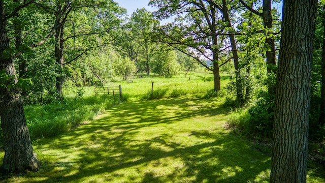 5936 Roosevelt Rd SE, Bemidji, MN 56601 - view of grassy yard with a forest view