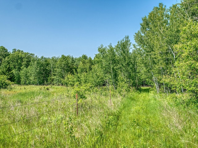 5936 Roosevelt Rd SE, Bemidji, MN 56601 - view of tree filled area