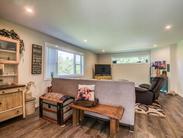 5936 Roosevelt Rd SE, Bemidji, MN 56601 - living area with dark wood finished floors, healthy amount of natural light, and recessed lighting