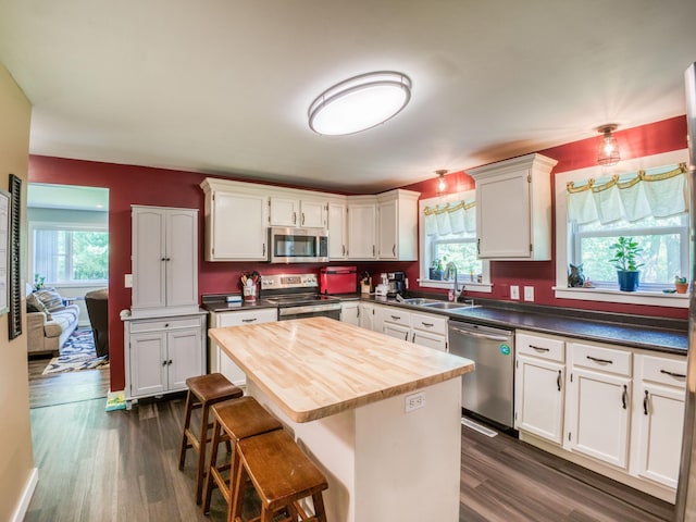 5936 Roosevelt Rd SE, Bemidji, MN 56601 - kitchen featuring stainless steel appliances, healthy amount of natural light, butcher block countertops, and dark wood-style flooring