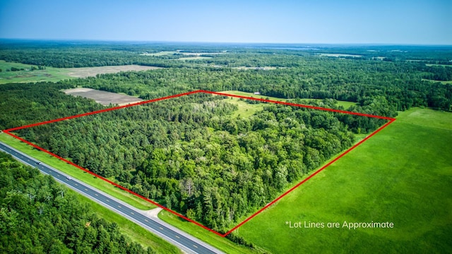 5936 Roosevelt Rd SE, Bemidji, MN 56601 - aerial overview of property's location featuring a heavily wooded area and property boundaries highlighted