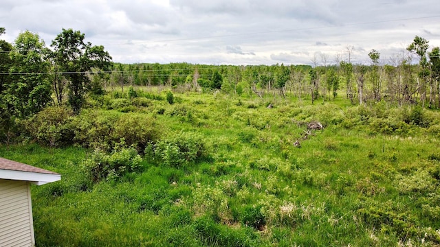 7165 US Highway 169, Garrison, MN 56450 - view of local wilderness