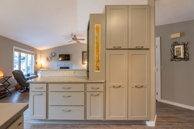 609 Main St E, Wabasha, MN 55981 - kitchen with open floor plan, dark wood finished floors, a ceiling fan, vaulted ceiling, and light stone countertops