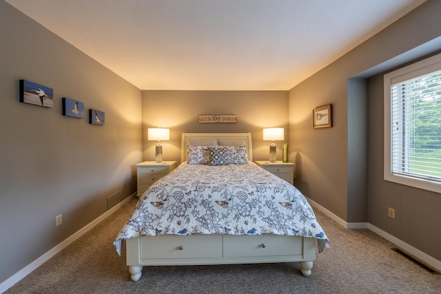 609 Main St E, Wabasha, MN 55981 - bedroom with carpet