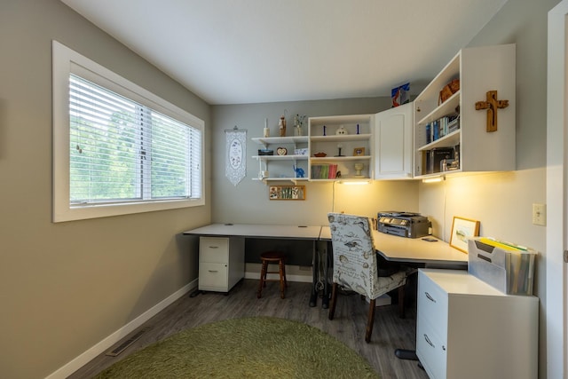 609 Main St E, Wabasha, MN 55981 - home office with wood finished floors and baseboards