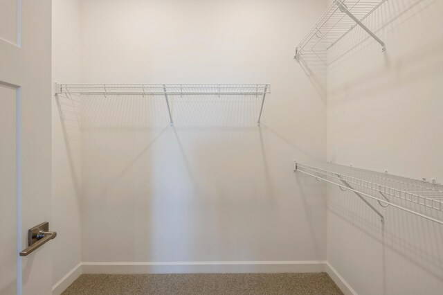 20264 Marsh Ct, Rogers, MN 55311 - spacious closet with carpet flooring