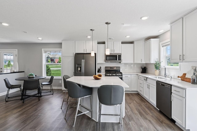 9462 Bridle Way, Victoria, MN 55386 - kitchen with stainless steel appliances, healthy amount of natural light, dark wood finished floors, and recessed lighting