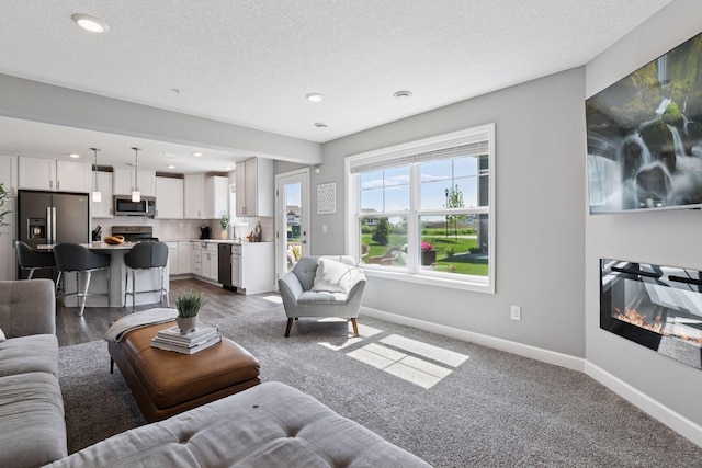 9462 Bridle Way, Victoria, MN 55386 - living room featuring recessed lighting and a textured ceiling