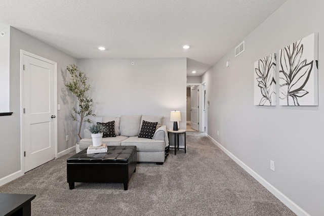 9462 Bridle Way, Victoria, MN 55386 - living room featuring carpet flooring, recessed lighting, and a textured ceiling