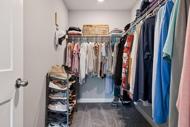 9462 Bridle Way, Victoria, MN 55386 - walk in closet with carpet