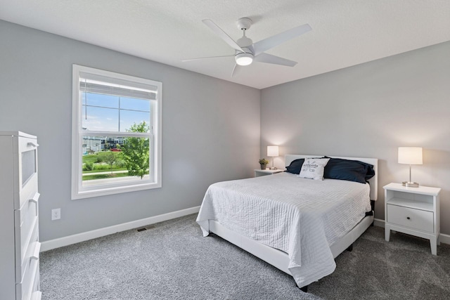 9462 Bridle Way, Victoria, MN 55386 - bedroom with carpet and a ceiling fan