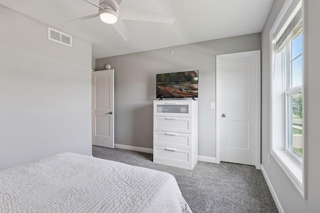 9462 Bridle Way, Victoria, MN 55386 - carpeted bedroom featuring multiple windows and a ceiling fan