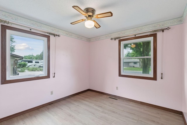 704 Highland Dr, New Prague, MN 56071 - empty room featuring plenty of natural light, light wood finished floors, and a ceiling fan