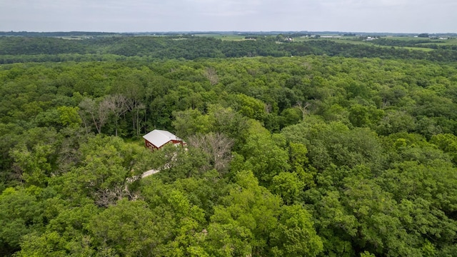 31340 Indigo Rd, Fountain, MN 55935 - drone / aerial view of a heavily wooded area