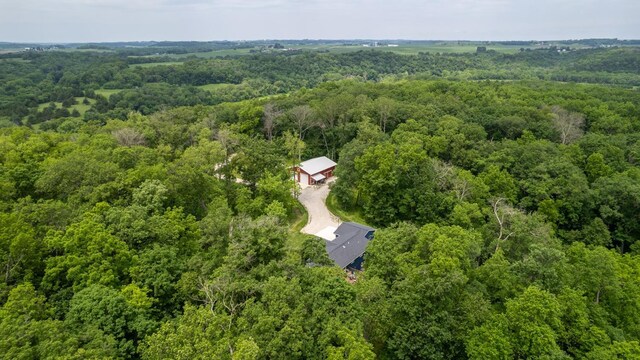 31340 Indigo Rd, Fountain, MN 55935 - aerial view of a heavily wooded area