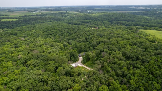 31340 Indigo Rd, Fountain, MN 55935 - bird's eye view of a forest