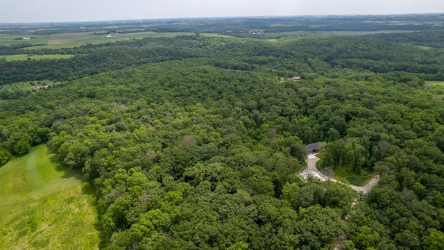 31340 Indigo Rd, Fountain, MN 55935 - drone / aerial view of a forest