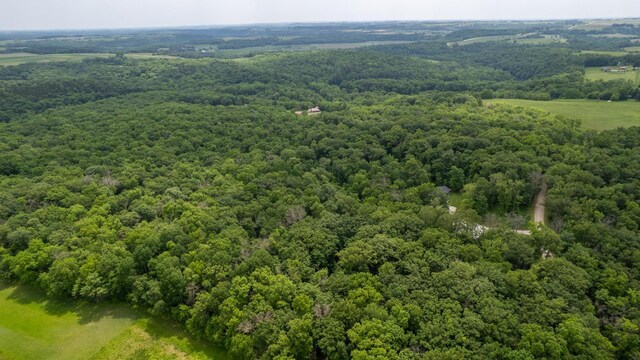 31340 Indigo Rd, Fountain, MN 55935 - drone / aerial view of a forest