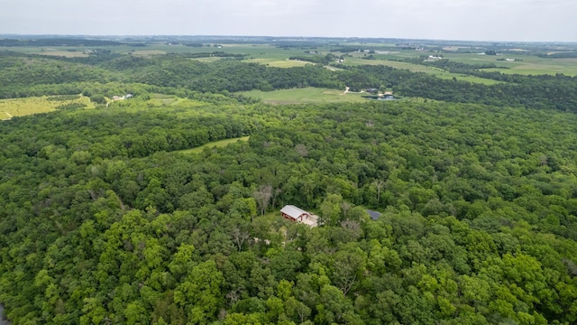 31340 Indigo Rd, Fountain, MN 55935 - drone / aerial view of a forest