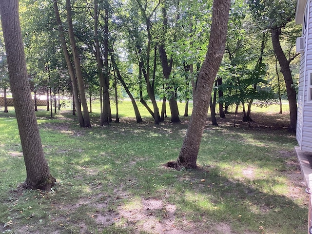14275 Schuelke Beach Rd NW, Miltona, MN 56354 - view of green lawn