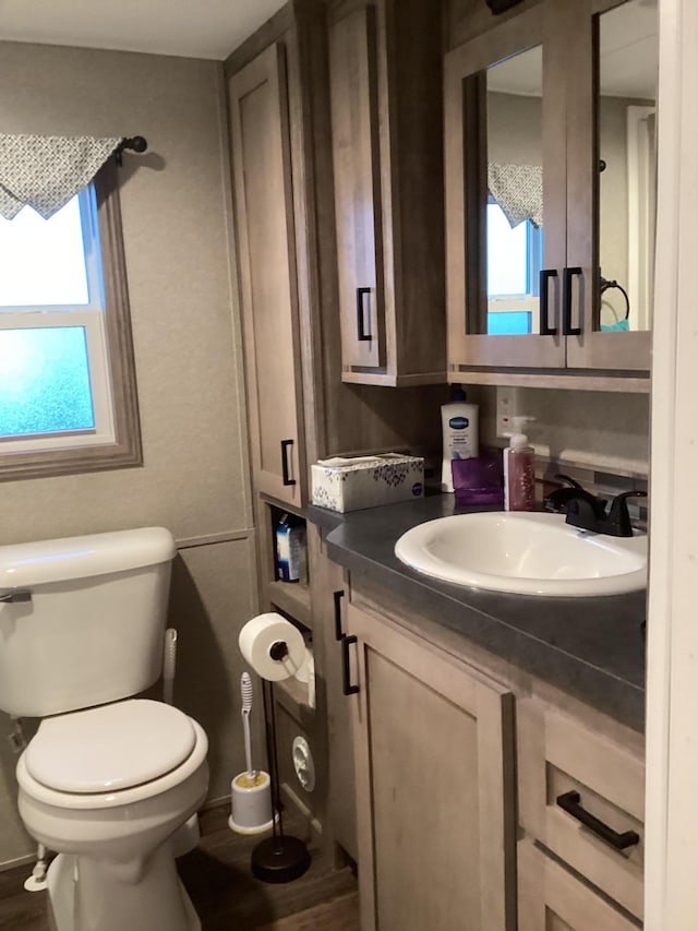 14275 Schuelke Beach Rd NW, Miltona, MN 56354 - bathroom with toilet and vanity