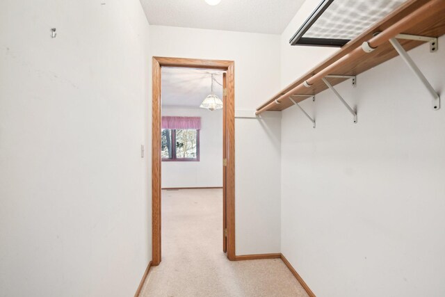 2513 Sumac Rdg, White Bear Lake, MN 55110 - walk in closet featuring light colored carpet
