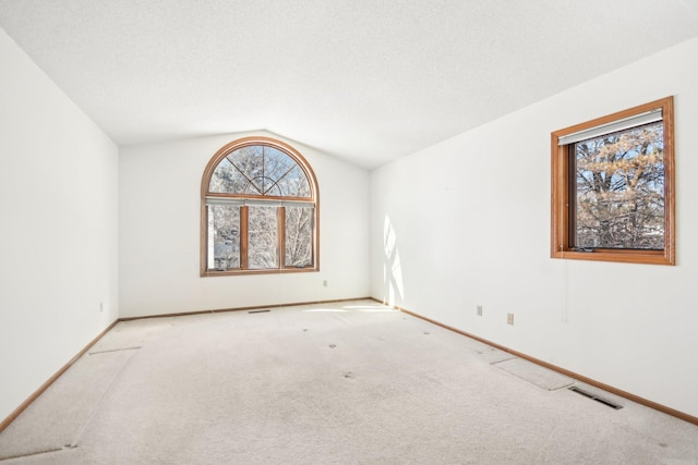 2513 Sumac Rdg, White Bear Lake, MN 55110 - empty room featuring healthy amount of natural light, carpet, and lofted ceiling