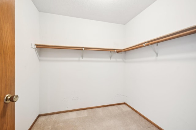 2513 Sumac Rdg, White Bear Lake, MN 55110 - walk in closet featuring light carpet