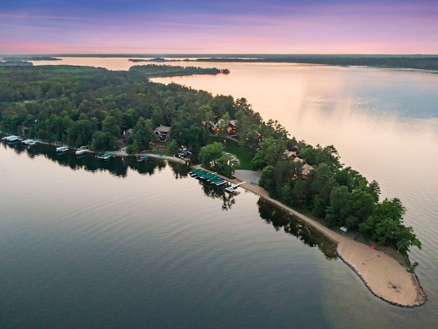 36463 Butternut Point Rd, Pequot Lakes, MN 56472 - photo 1
