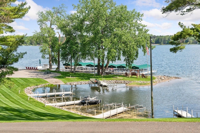 36463 Butternut Point Rd, Pequot Lakes, MN 56472 - photo 64