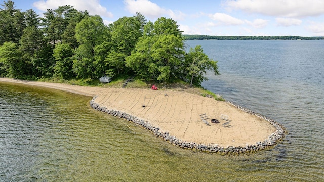 36463 Butternut Point Rd, Pequot Lakes, MN 56472 - photo 66