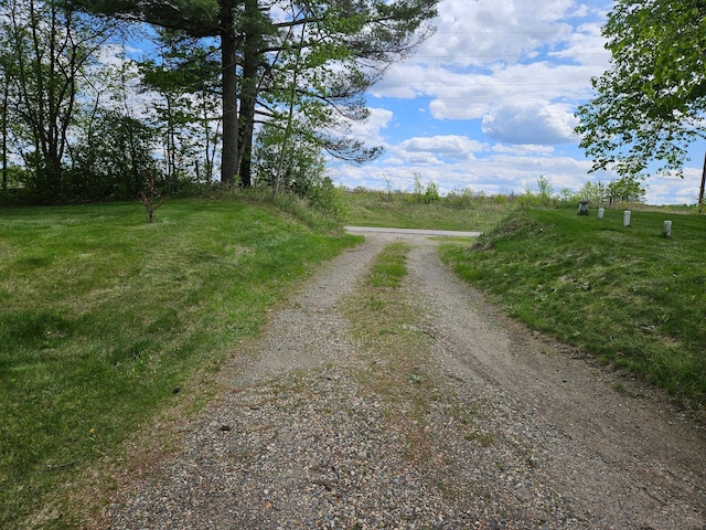 10244 State Highway 87, Blueberry Twp, MN 56464 - view of street