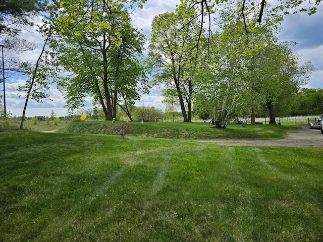 10244 State Highway 87, Blueberry Twp, MN 56464 - view of green lawn