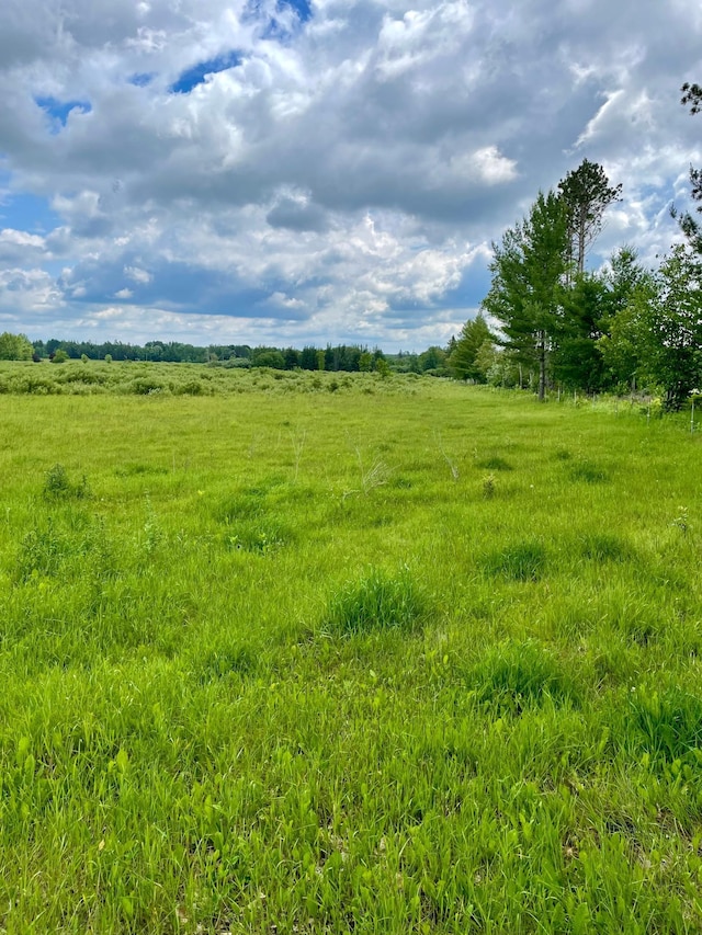 10244 State Highway 87, Blueberry Twp, MN 56464 - view of nature with rural landscape