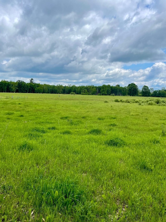 10244 State Highway 87, Blueberry Twp, MN 56464 - view of local wilderness with rural landscape
