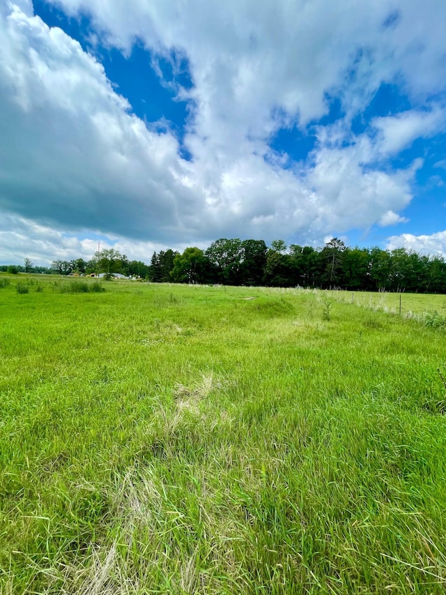 10244 State Highway 87, Blueberry Twp, MN 56464 - view of undeveloped land featuring rural landscape