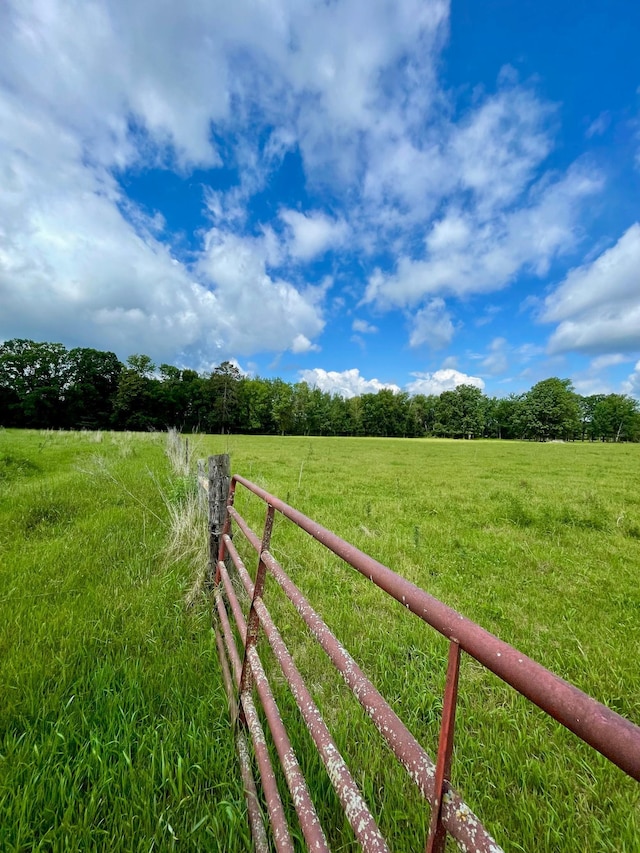 10244 State Highway 87, Blueberry Twp, MN 56464 - view of yard with a rural view