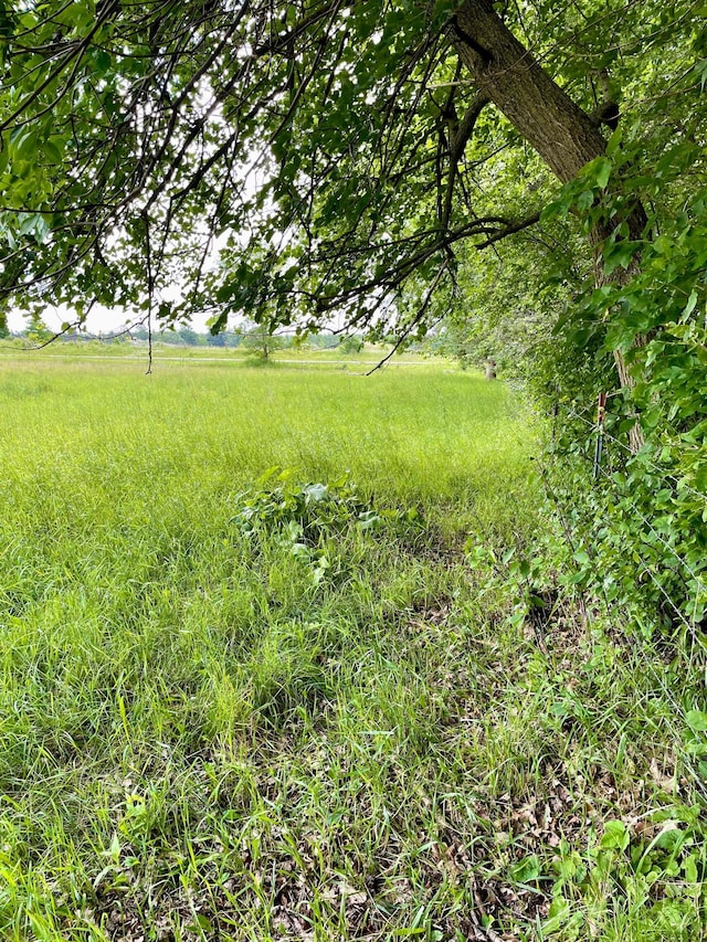 10244 State Highway 87, Blueberry Twp, MN 56464 - view of yard