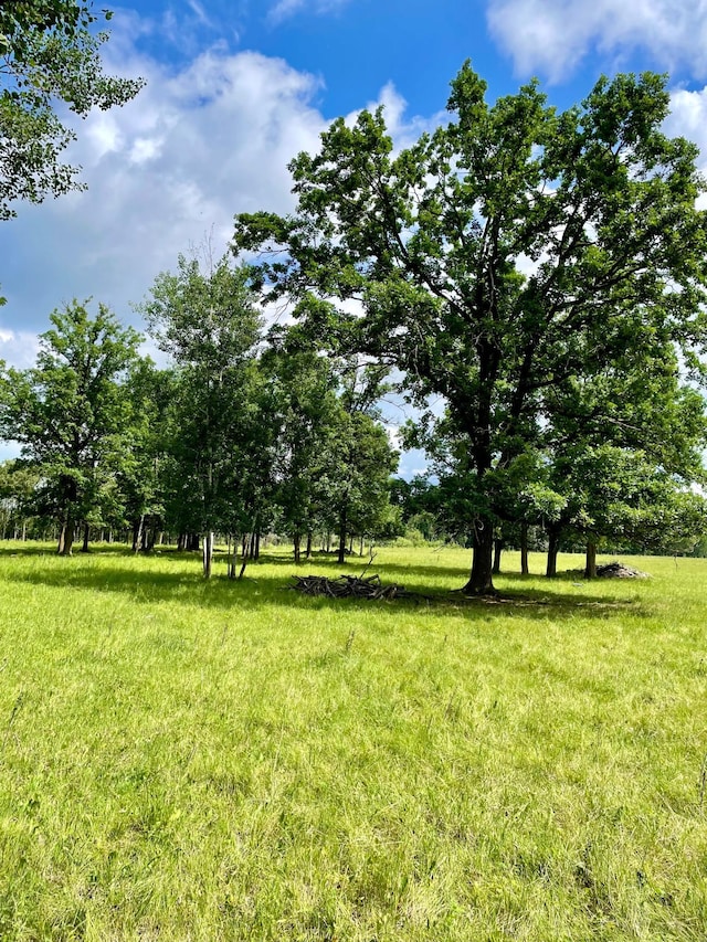 10244 State Highway 87, Blueberry Twp, MN 56464 - view of grassy yard