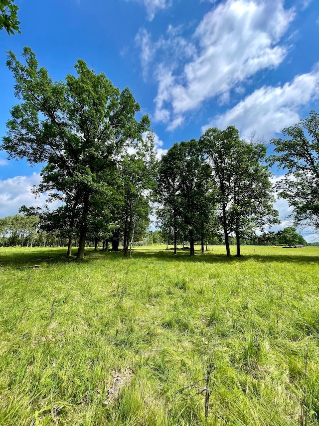 10244 State Highway 87, Blueberry Twp, MN 56464 - view of yard featuring a rural view
