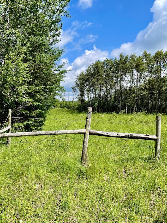 10244 State Highway 87, Blueberry Twp, MN 56464 - view of yard