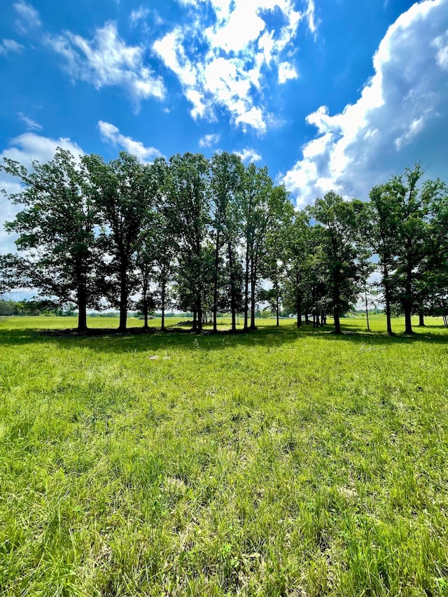 10244 State Highway 87, Blueberry Twp, MN 56464 - view of yard