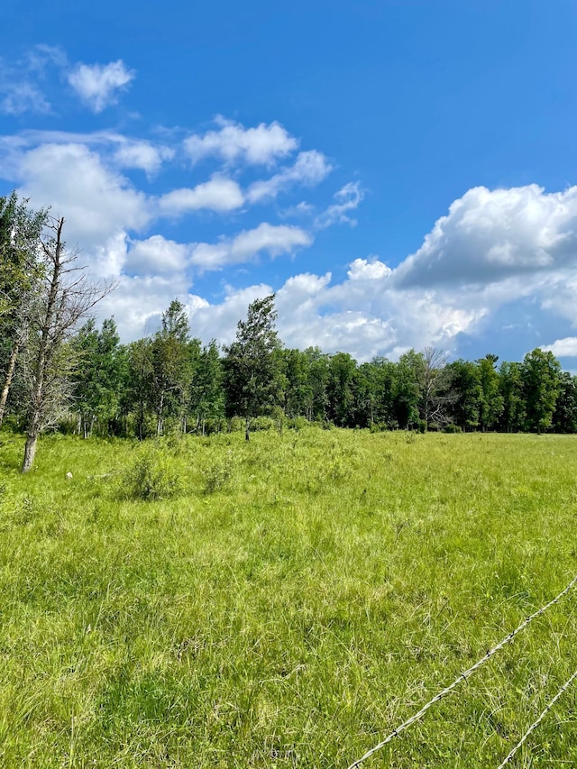 10244 State Highway 87, Blueberry Twp, MN 56464 - view of local wilderness featuring rural landscape