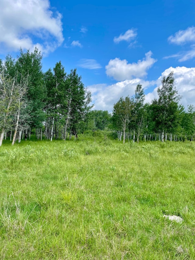 10244 State Highway 87, Blueberry Twp, MN 56464 - view of yard
