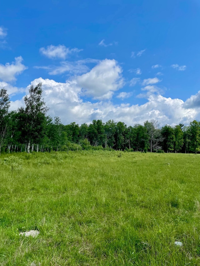 10244 State Highway 87, Blueberry Twp, MN 56464 - view of wooded area featuring a view of countryside