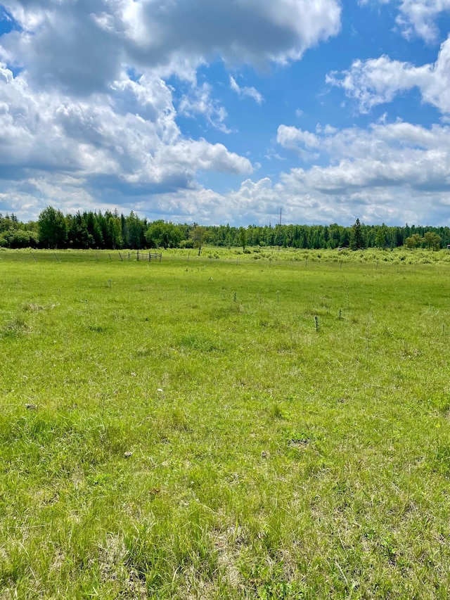 10244 State Highway 87, Blueberry Twp, MN 56464 - view of nature with rural landscape