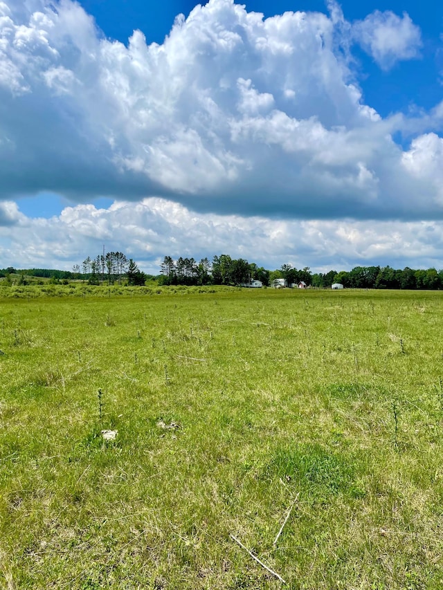 10244 State Highway 87, Blueberry Twp, MN 56464 - view of local wilderness with rural landscape
