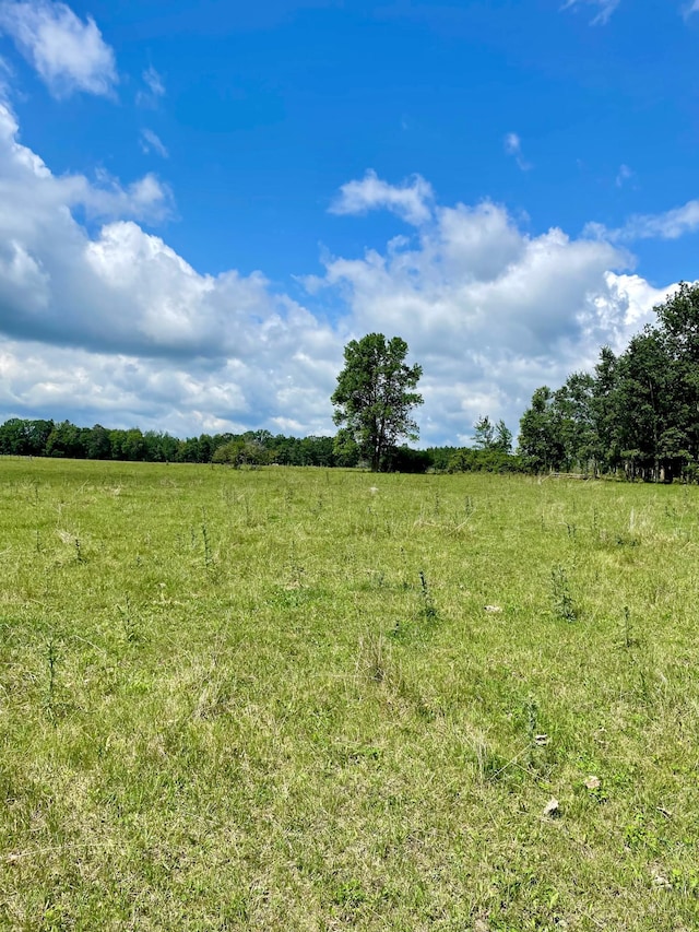 10244 State Highway 87, Blueberry Twp, MN 56464 - view of local wilderness featuring rural landscape