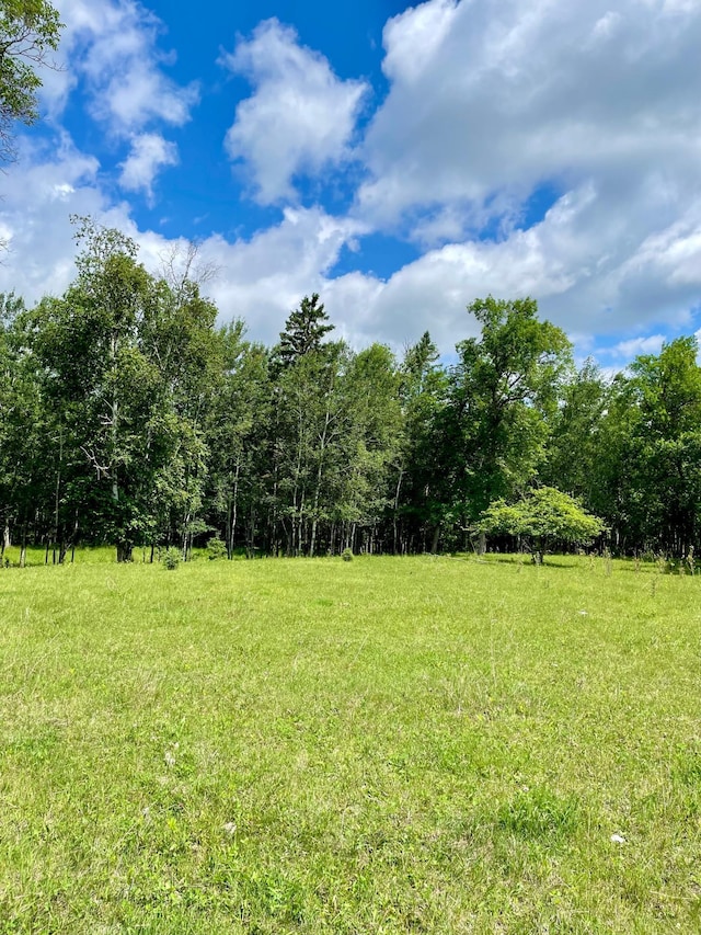10244 State Highway 87, Blueberry Twp, MN 56464 - view of yard with a forest view