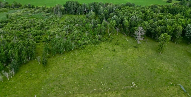 10244 State Highway 87, Blueberry Twp, MN 56464 - view of rural area